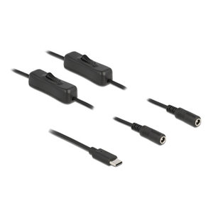 DELOCK καλώδιο USB Type-C σε 2x DC 5.5 x 2.1mm 86800, 1m, μαύρο