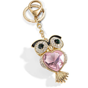 Κλειδοθήκη από ανοξείδωτο ατσάλι MORELLATO Magic Owl